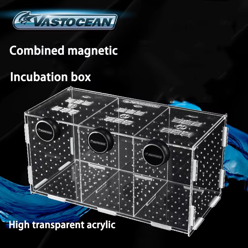 VASTOCEAN-Magnetic Combined Ac - огляд і ціна Seaweed Snack